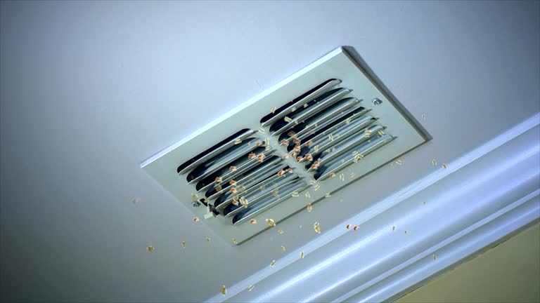 Best Best Air Duct Cleaning Company  in Branson, MO