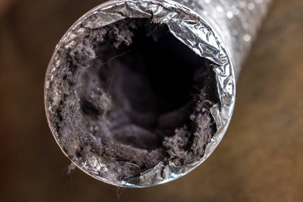 Best Local Air Duct Cleaning Services  in Branson, MO